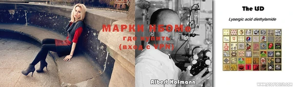 крисы Арсеньев