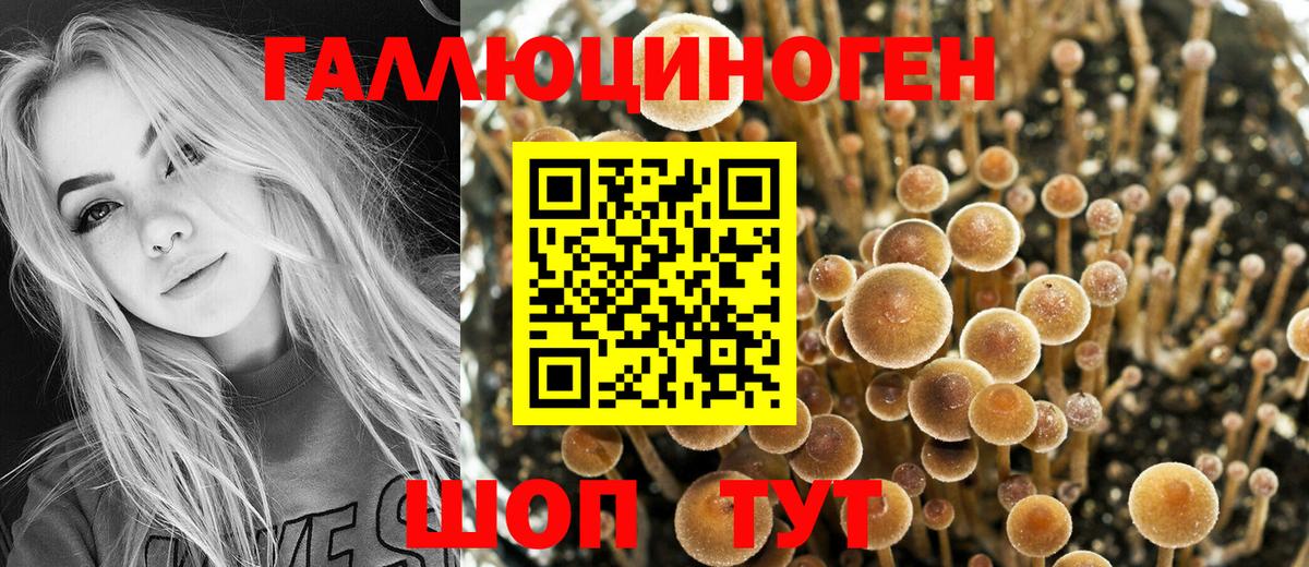 Галлюциногенные грибы мицелий  Вход с VPN  Кубинка 